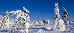 Randonnée raquettes Aventure Pyrénéenne