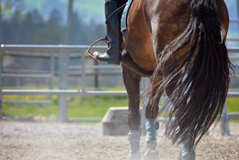 Stage d'équitation pour adultes à Font-Romeu
